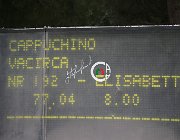 Vacirca E Cappuchino CsioArJYR SS7 7712 : CSIO Giovani Arezzo, Cappuchino, Vacirca Elisabetta, foto Stefano Secchi ©